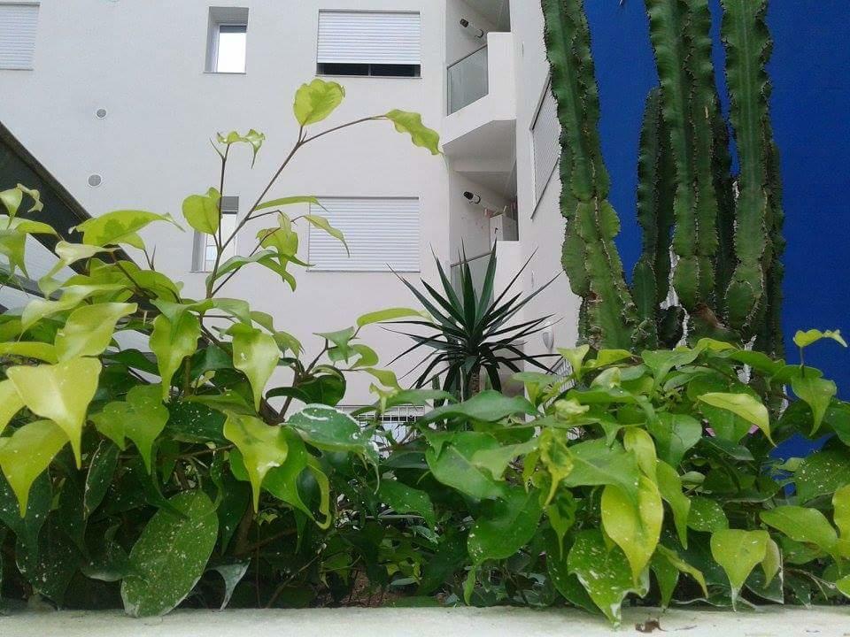 Le Lagon De האממט חדר תמונה