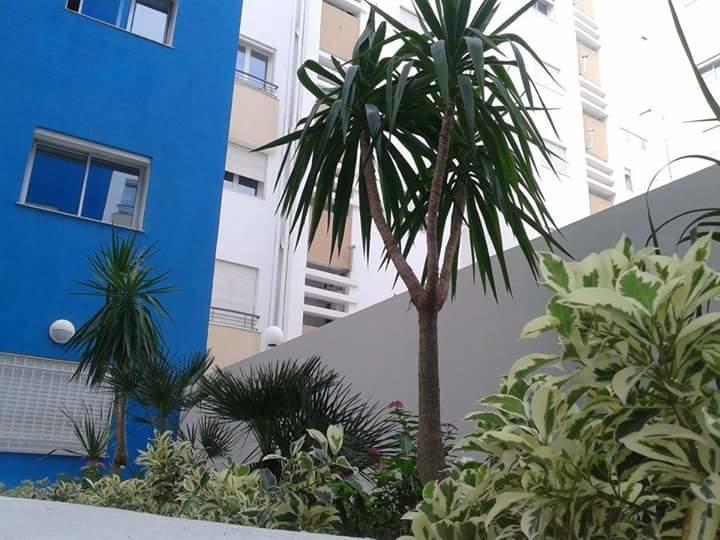 Le Lagon De האממט חדר תמונה